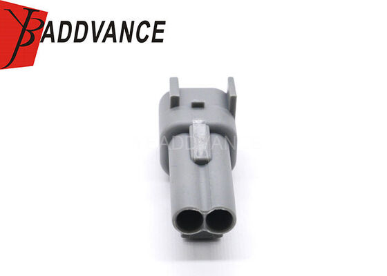 E-5067 2 Pin Male EPC 1.5mm(060) Series Auto Connector for Ford with Termianls and Seals